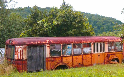 bus
