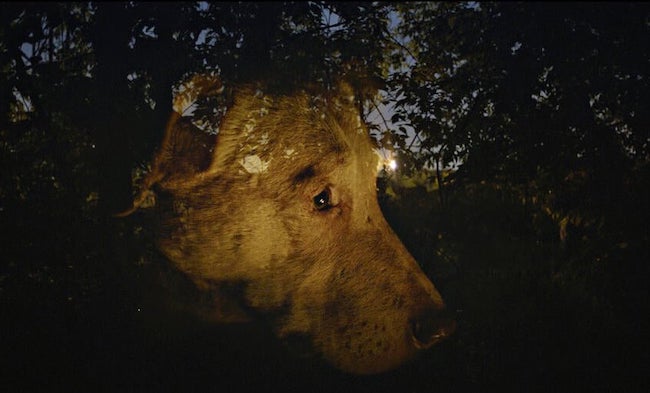 movie image