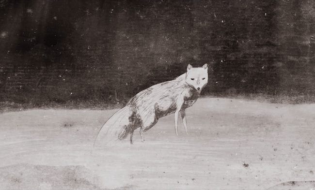 Bild aus dem Film