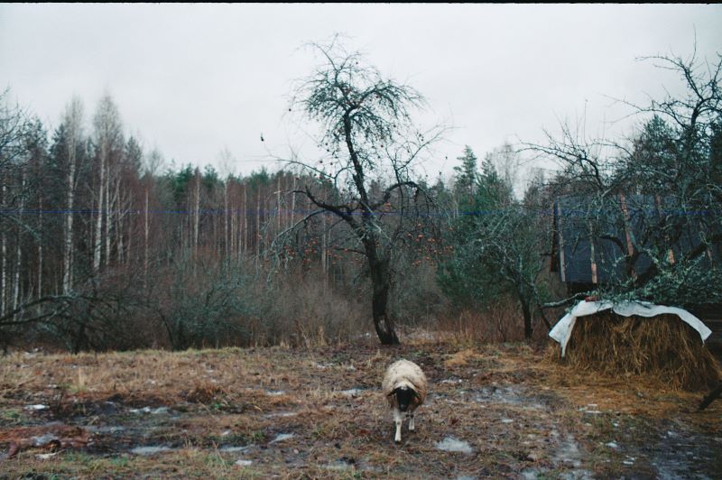 Bild aus dem Film