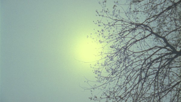 Bild aus dem Film