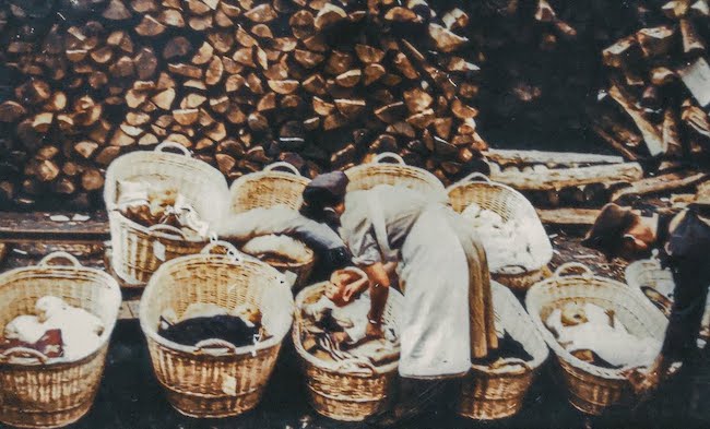 Bild aus dem Film
