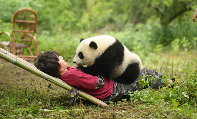 Filmempfehlung: MOON, DER PANDA