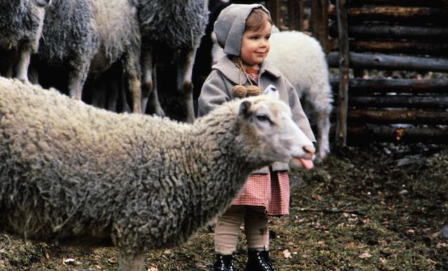 Bild aus dem Film