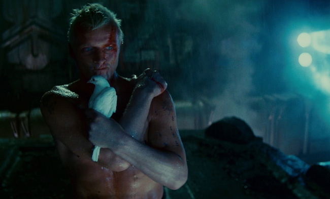 Bild aus dem Film